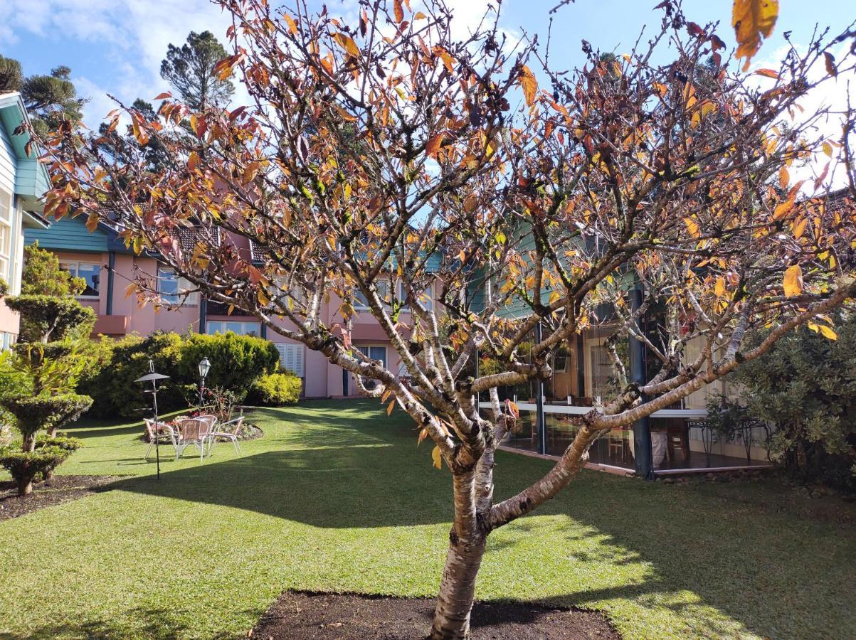 Agradavel Apt 2Quartos Para Familia Prox Ao Lago Negro - 4 Min Do Centro- Com Churrasqueira Грамаду Экстерьер фото
